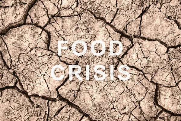 Food crisis. World hunger. Failed grain crops. The shortage of bread. Drought and bad harvest. The global threat of famine to the whole world. Dry land. Economic crisis.