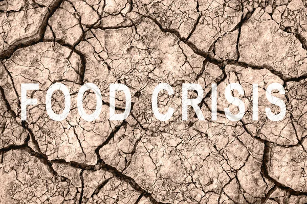 Food crisis. World hunger. Failed grain crops. Bread shortage. Drought and bad harvest. The global threat of famine to the whole world. Dry land. Economic crisis.
