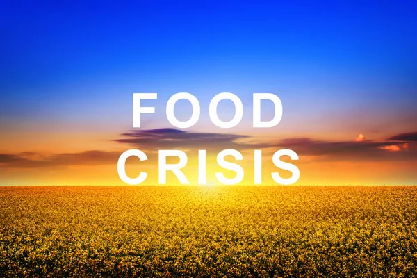 Global food crisis and crop failure. Military conflict between Russia and Ukraine. The threat of famine to Europe and the world. Economic crisis.