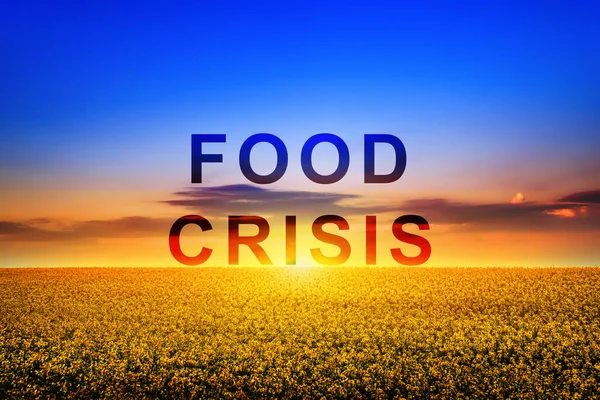 Global food crisis and crop failure. Military conflict between Russia and Ukraine. Famine threat to Europe and the world. Economic crisis.