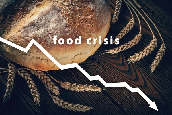 Food crisis. Failed grain harvest. The shortage of bread. Aggressive war of Russia in Ukraine. The global threat of famine to the whole world. Economic crisis.