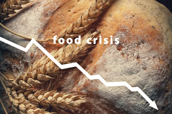 Food crisis. Failed grain harvest. Bread shortage. Russia\'s aggressive war in Ukraine. The stolen harvest. Global threat of famine in Europe and the world. Economic crisis.