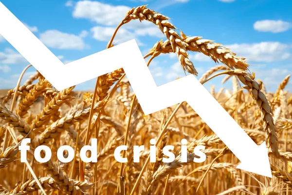 Potravinová Krize Světové Problémy Dodávkami Pšenice Nedostatek Mouky Chleba Ruská — Stock fotografie