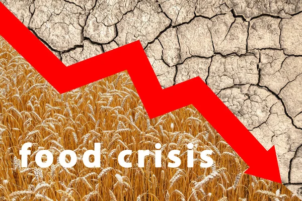 Food crisis. Wheat supply problems worldwide. Lack of flour and bread. Russia\'s aggressive war in Ukraine. Threat of hunger. Reduction in food supplies. Concept of worldwide scarcity. Level diagram.
