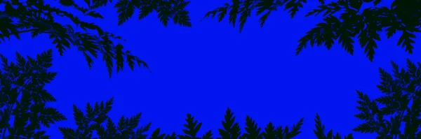 Abstract texture. The texture of the leaves on a blue background. Template for web design. Empty space for text. Creative background.