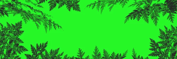 Abstract Texture Texture Leaves Green Background Template Web Design Empty — Stockfoto