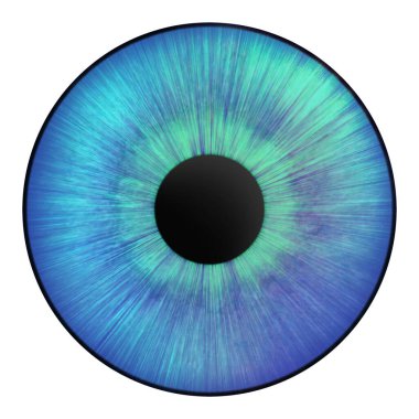 Iris of the eye. Human iris. Illustration of an eye. Creative digital graphic design.