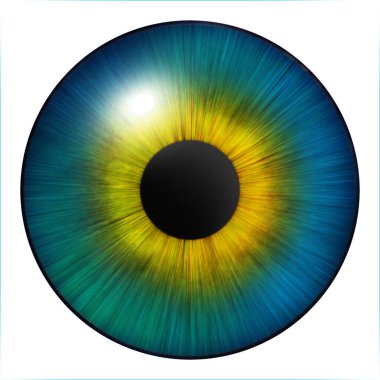 Göz kamaştırıcı. İnsan gözü. Göz çizimi. Mavi göz. Yaratıcı dijital grafik tasarımı.