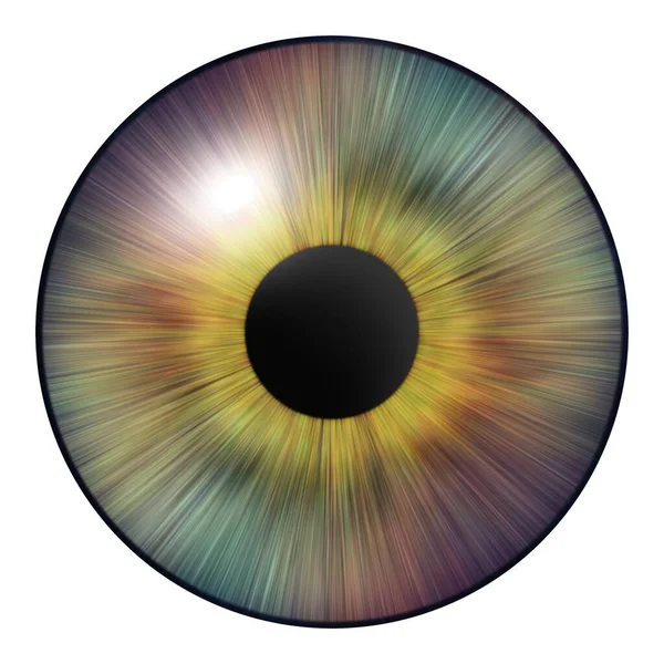 Iris Eye Iris Human Illustration Eye Creative Digital Graphic Design — Foto Stock