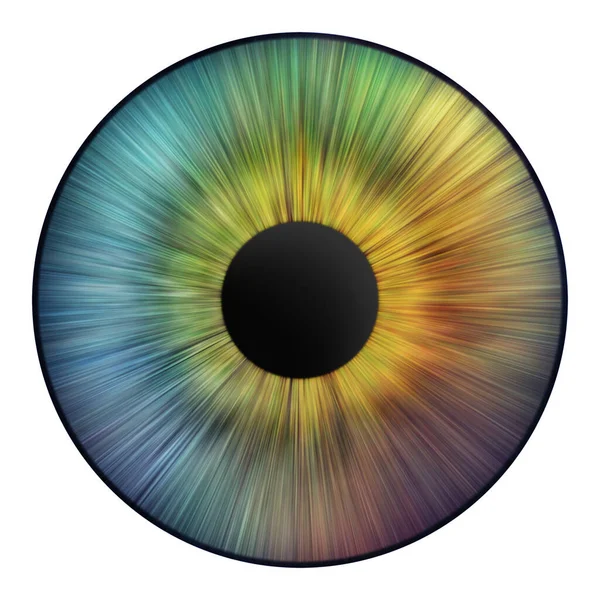 Iris Eye Iris Human Eye Illustration Creative Digital Graphic Design — Stockfoto