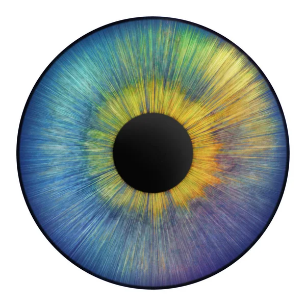 Iris Eye Human Iris Eye Illustration Creative Digital Graphic Design — Stockfoto