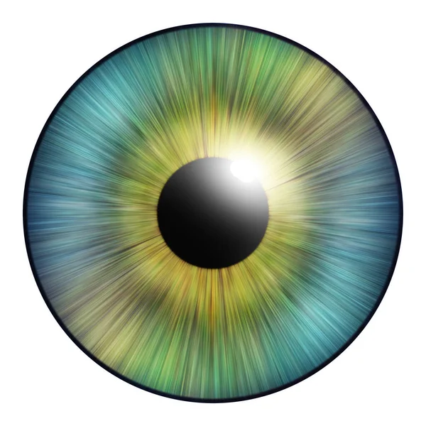 Iris Human Iris Eye Eye Illustration Creative Digital Graphic Design — Fotografia de Stock