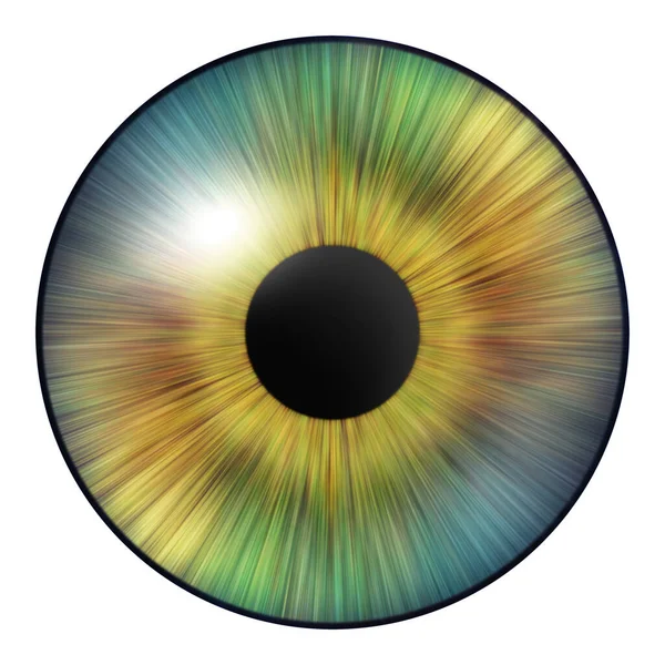 Human Iris Iris Eye Illustration Eye Creative Digital Graphic Design — Stock Photo, Image