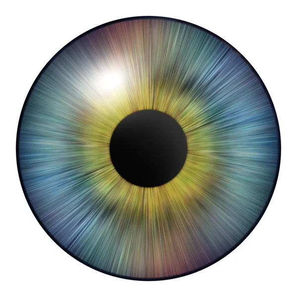 Íris Olho Íris Humana Ilustração Ocular Olho Multicolorido Isolado Branco — Fotografia de Stock