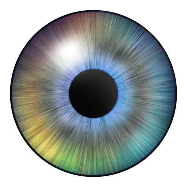 Iris Eye Human Iris Eye Illustration Multicolored Eye White Background — Stockfoto