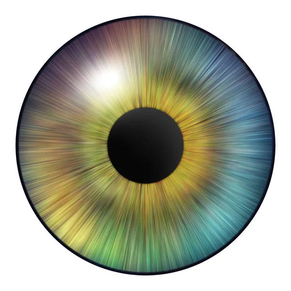 Göz Kamaştırıcı Nsan Iris Göz Çizimi Beyazın Üzerinde Çok Renkli — Stok fotoğraf