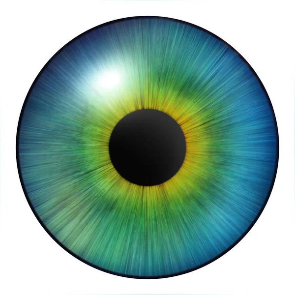 Íris Olho Íris Humana Ilustração Olho Olho Multicolorido Sobre Fundo — Fotografia de Stock