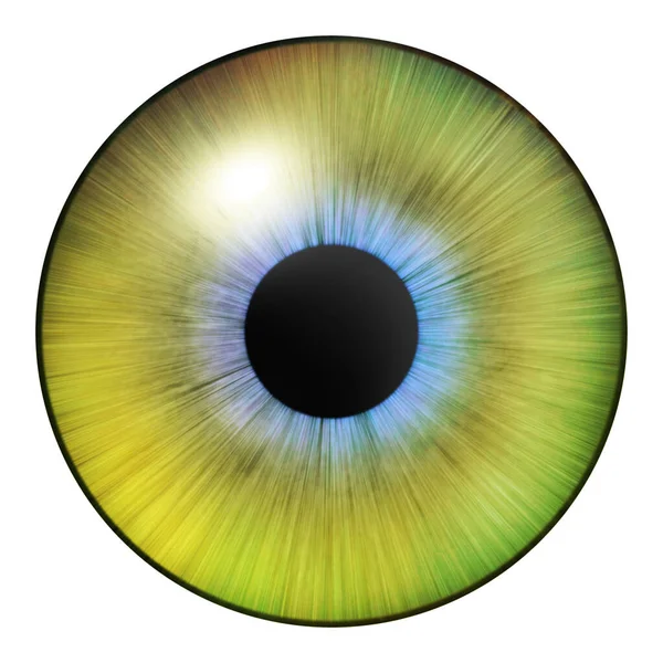 Oční Duhovka Lidská Duhovka Oční Ilustrace Žluté Oko Kreativní Digitální — Stock fotografie