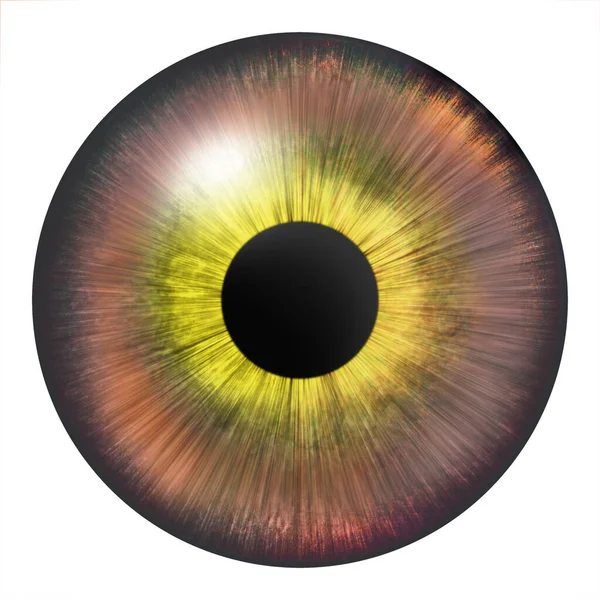 Göz Kamaştırıcı Nsan Gözü Göz Çizimi Çok Renkli Göz Yaratıcı — Stok fotoğraf