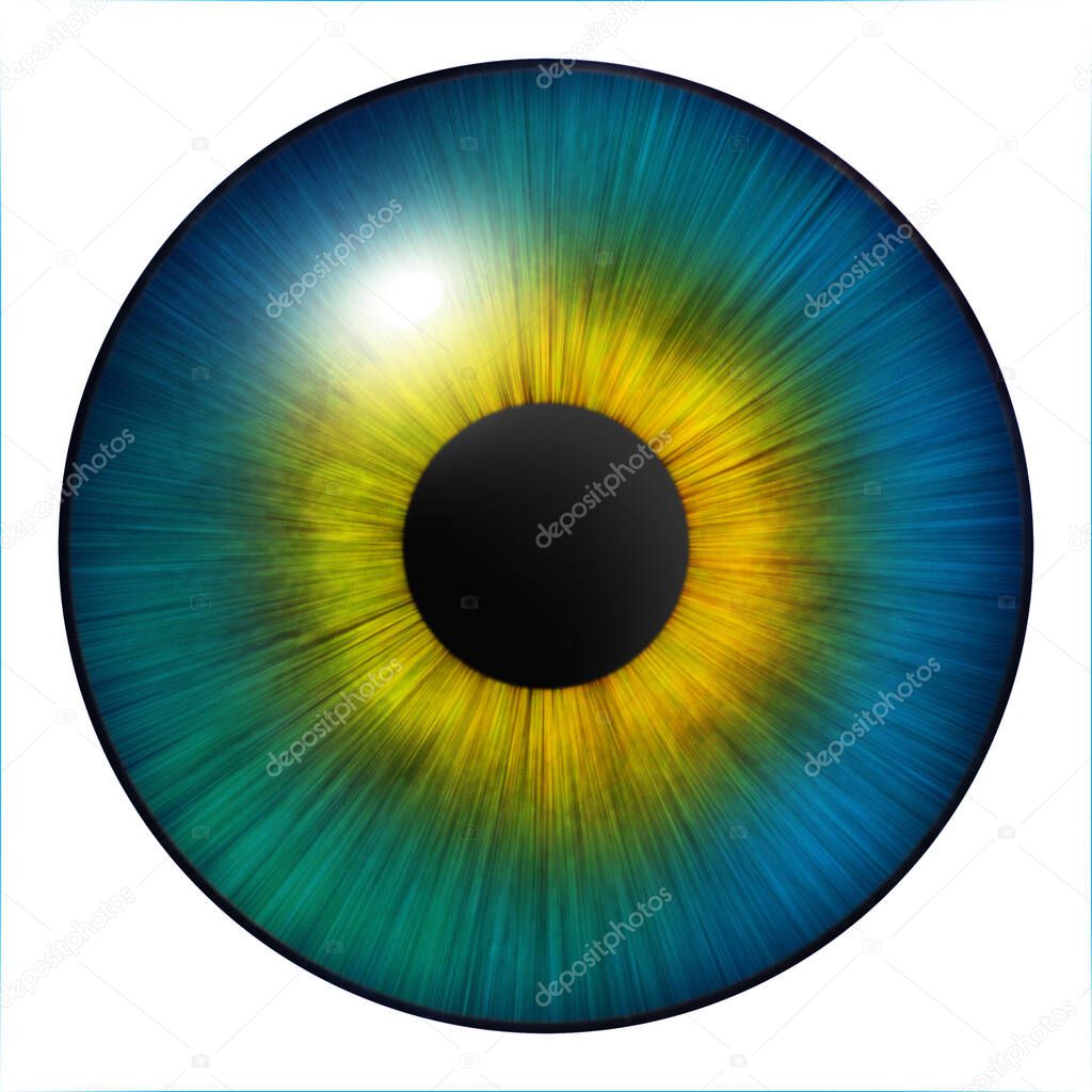 Iris of the eye. Human iris. Eye illustration. Blue eye. Creative digital graphic design.