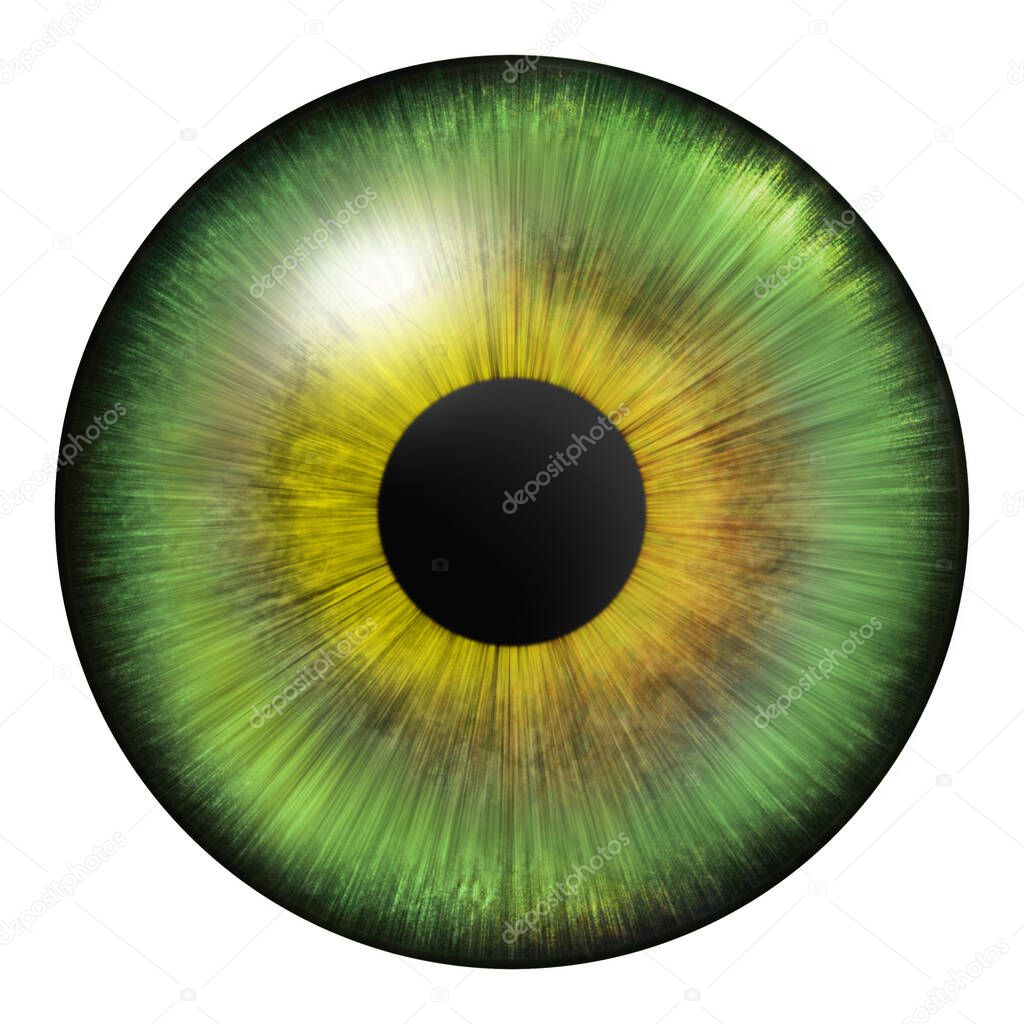 Iris of the eye. Human iris. Eye illustration. Green eye. Creative digital graphic design.