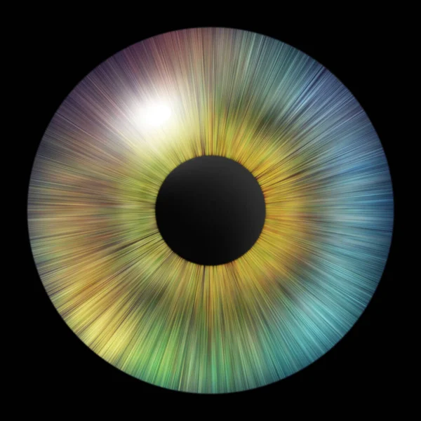 Iris of the eye. Iris of the human. Eye illustration. Multicolored eye isolated on black. Creative digital graphic design.