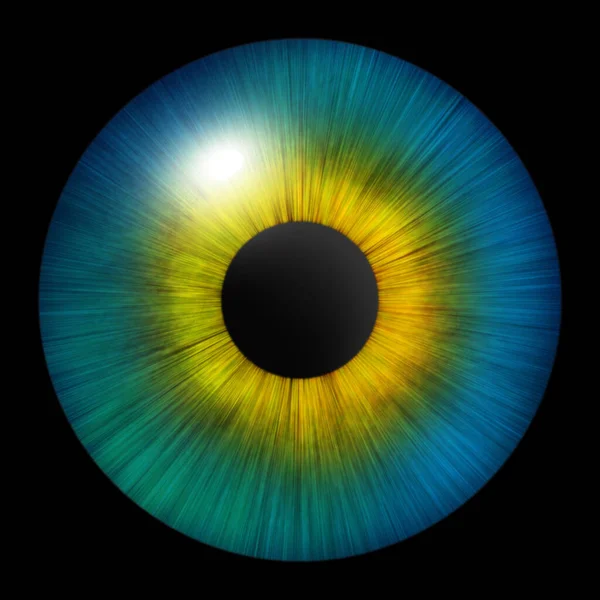 Iris of the eye. Human iris. Eye illustration. Blue eyeon black . Creative digital graphic design.