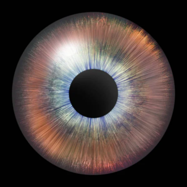 Oční Duhovka Lidská Duhovka Oční Ilustrace Hnědé Oko Černé Kreativní — Stock fotografie