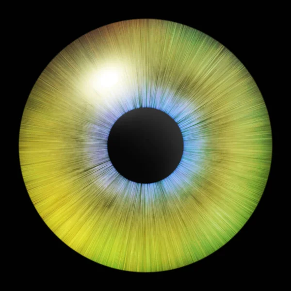 Ирис Глаза Человеческая Диафрагма Иллюстрация Глаз Желтый Глаз Черном Творческий — стоковое фото