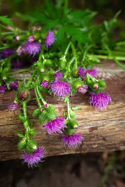 Burdock Flowers Bouquet Plucked Wild Purple Flowers Wooden Surface Medicinal — Zdjęcie stockowe