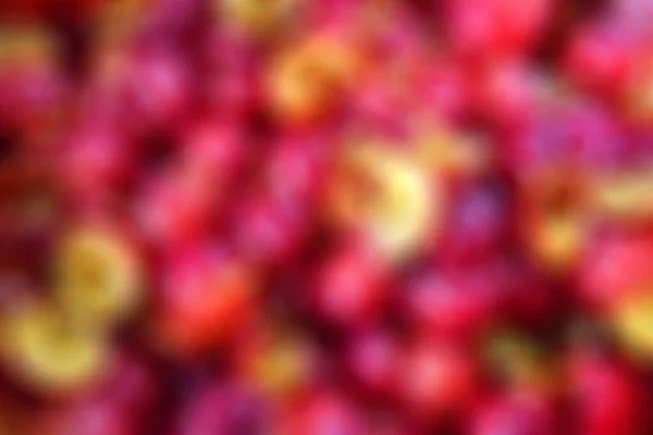 Cherry plum background. Blurred image of a lot of red cut cherry plum. Abstract creative defocused surface for design