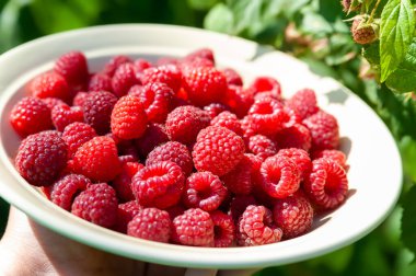 Ahududu. Yaprakların arka planında bir tabakta ahududu yakın plan. Seçici yumuşak odaklanma. Küçük bir alan derinliği. Bokeh efektli bulanık arkaplan