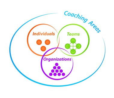 koçluk alanları diyagramı