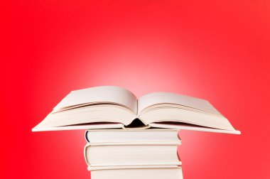 açık kırmızı kitap