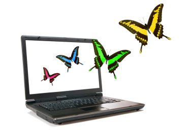 laptop ve kelebekler