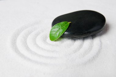 Zen çakıl taşı ve yeşil yaprak