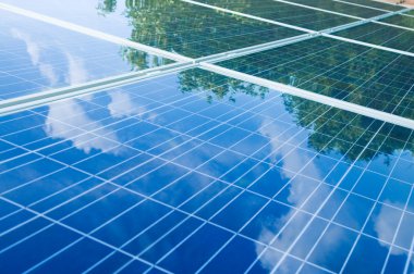 Solar panels with tree reflection clipart