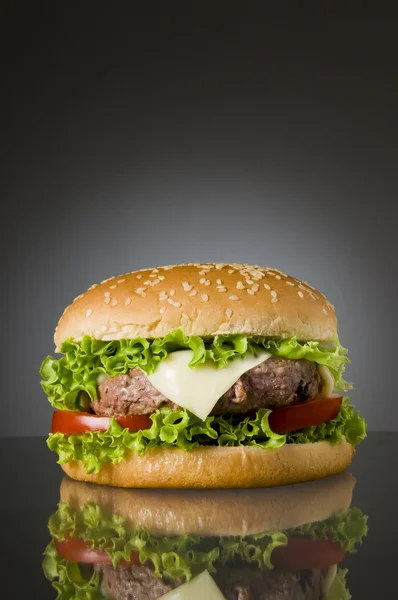 Hamburger lezat. — Stok Foto