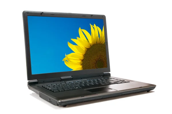 Laptop en zonnebloem — Stockfoto