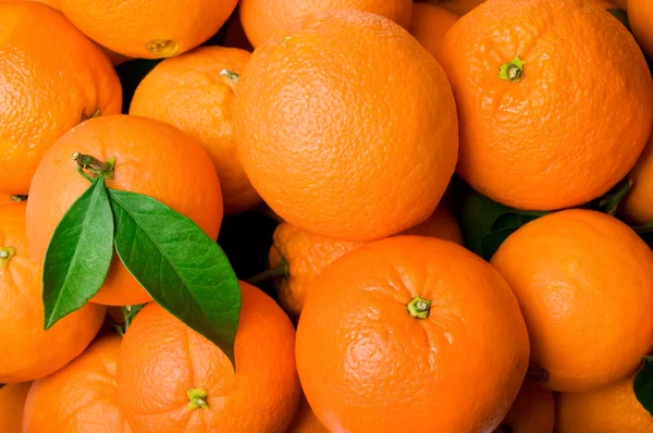 Oranges — Stock Photo, Image