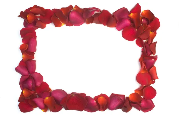 Vermelho pétalas de rosa quadro — Fotografia de Stock
