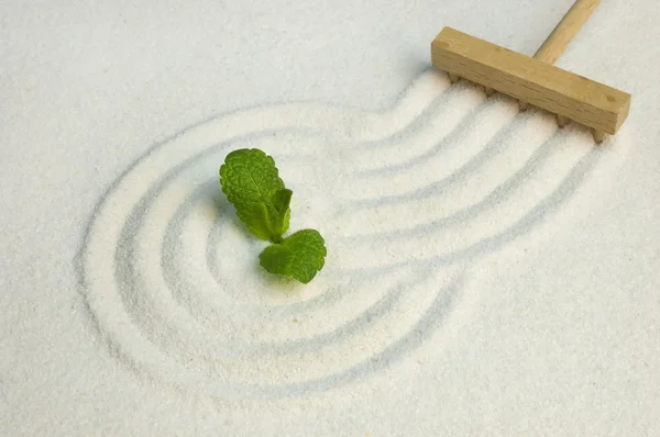 Zen garden with green leaf — Stock Photo, Image