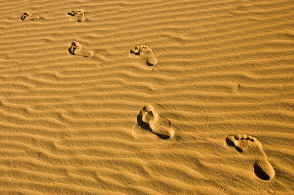 Walking in the beach