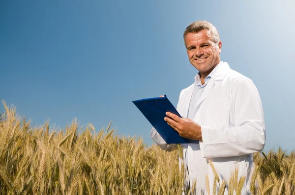 Wheat quality control — Stock Photo, Image