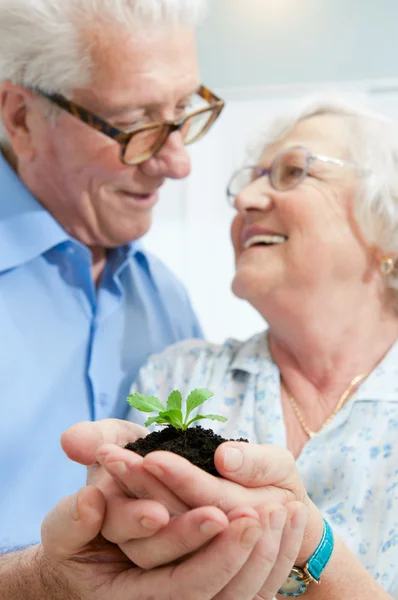 Investeringen en besparing voor pensionering — Stockfoto