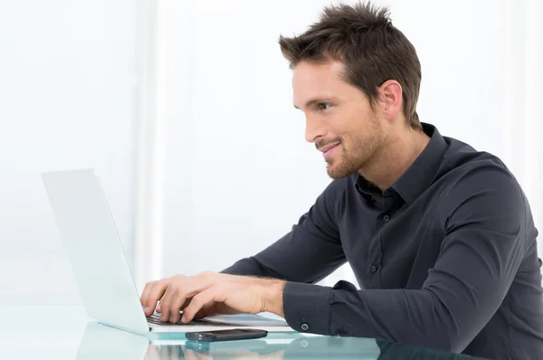 Businessman Working On Laptop Stock Picture