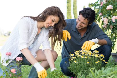 Couple Planting Plant In Garden