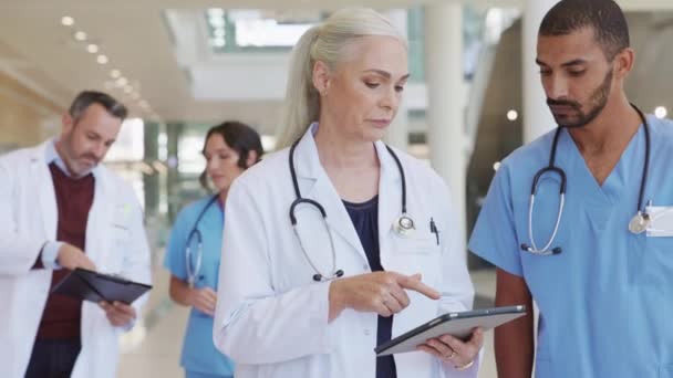 Médica Madura Discutindo Sobre Relatório Médico Com Jovem Enfermeira Indiana — Vídeo de Stock