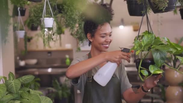 Mooie Jonge Zwarte Bloemist Die Zorgt Voor Planten Terwijl Hij — Stockvideo