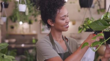 Yeşil önlük giymiş gülümseyen genç botanikçinin portresi bir bitkiyi suluyor ve kameraya gülümsüyor. Bahçıvanlık merkezinde mutlu bir şekilde gülümseyen genç zenci kadın. Başarılı bir çiçekçi ve dükkanında çalışan küçük işletme sahibi..